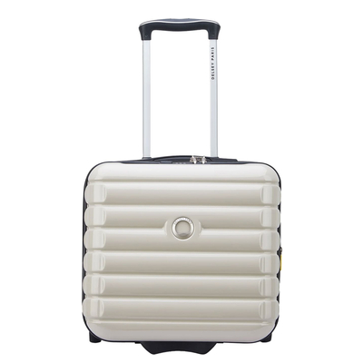Delsey Shadow 5.0 Boardcase / Underseater Expandable ivory