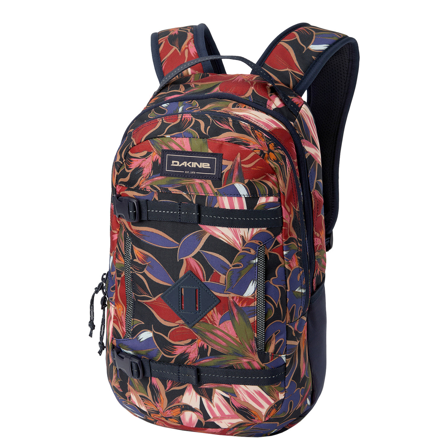 10004358darkstargazer_1