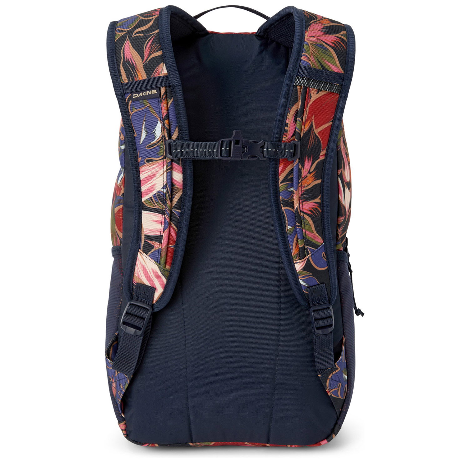 10004358darkstargazer_2