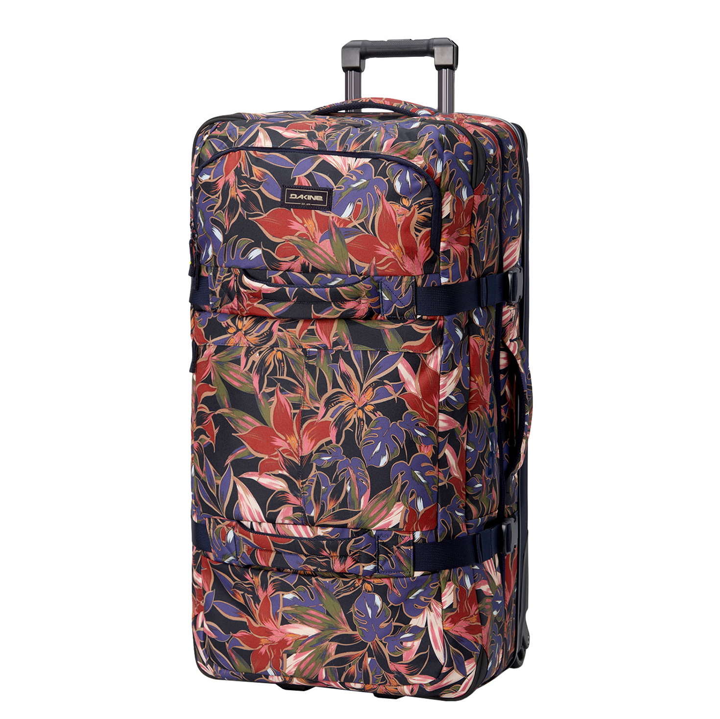 10004501darkstargazer_1