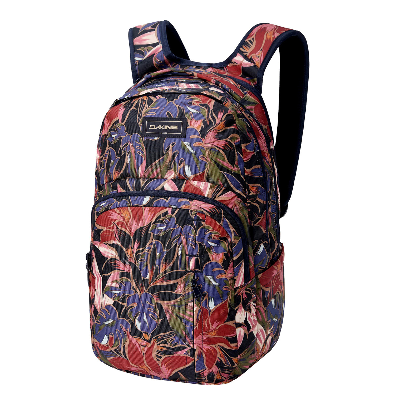 10004339darkstargazer_1