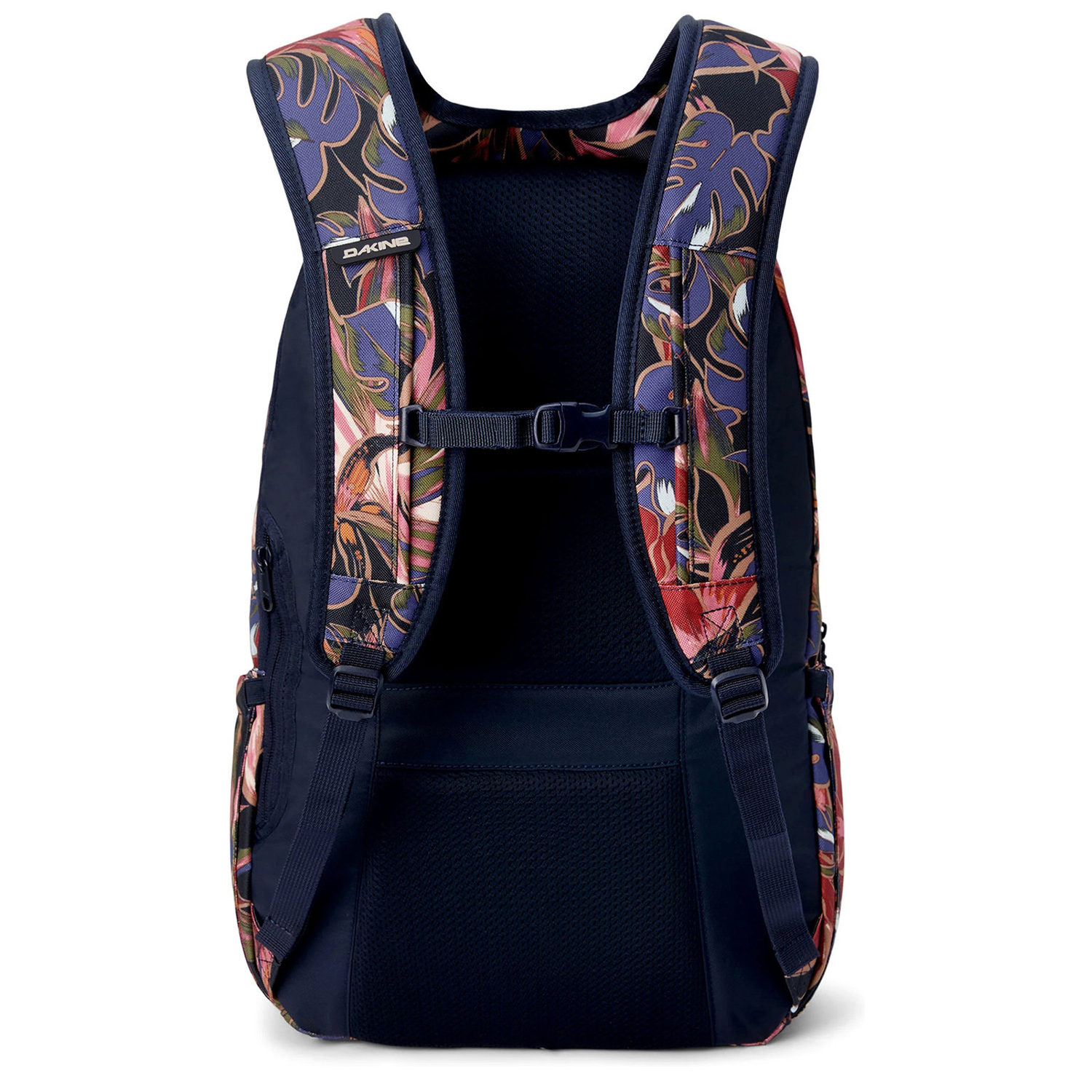 10004339darkstargazer_2