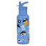 A Little Lovely Company Alex Water Bottle XL pirates