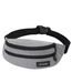Dakine Classic Hip Pack greyscale