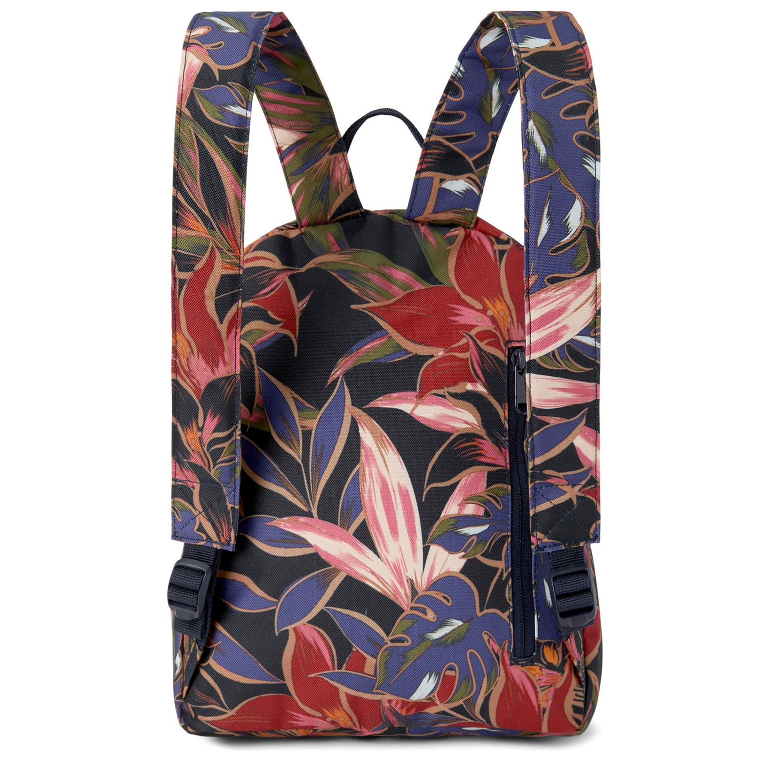 10004345darkstargazer_3