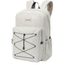 Dakine Educated 30L Backpack silver lining