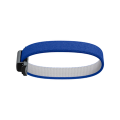 abw-cobaltblue_2