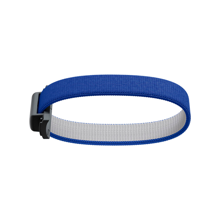 abw-cobaltblue_2