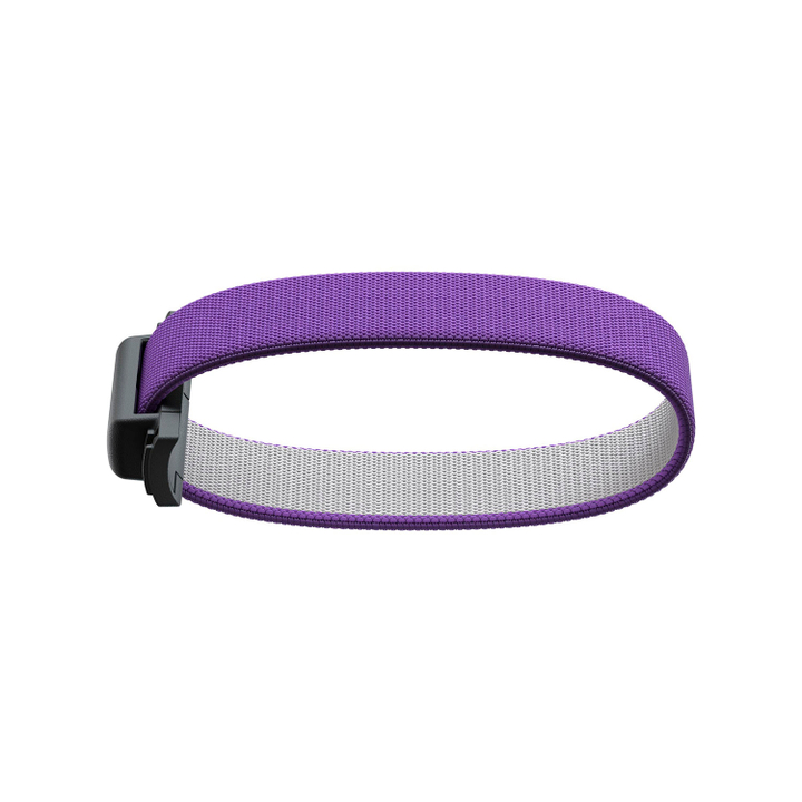 abw-violet_2