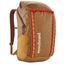 Patagonia Black Hole Pack 32L talon gold