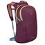 Osprey Daylite moody burgundy