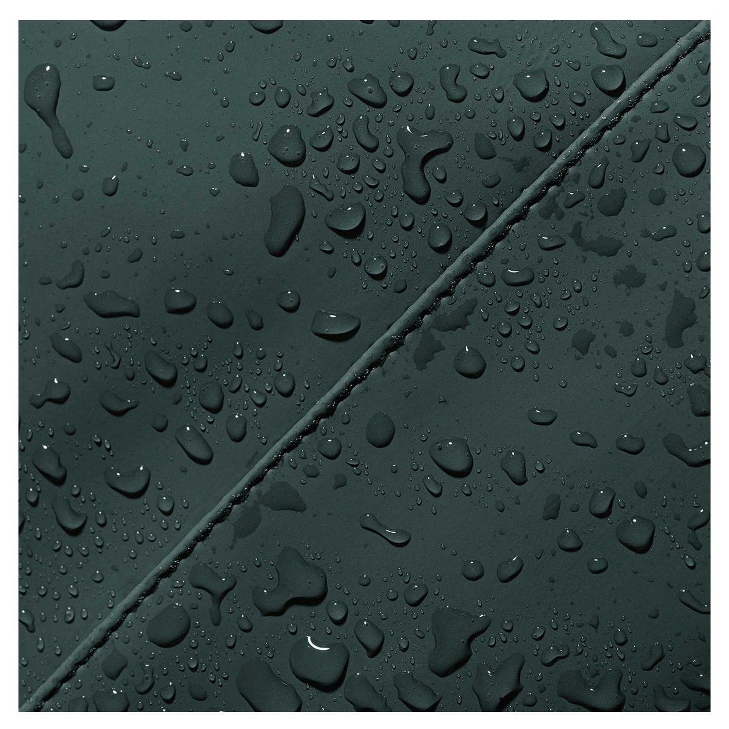 309002478820_11