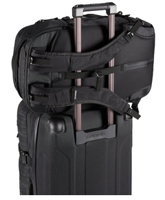 10004500mulledbasil_7