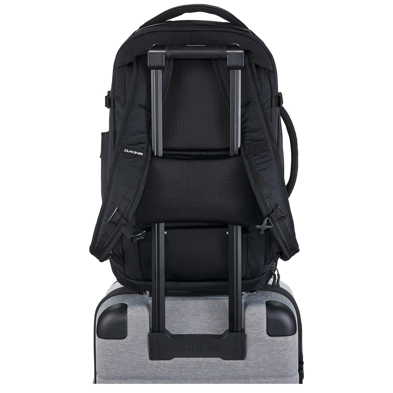 10004367mulledbasil_10