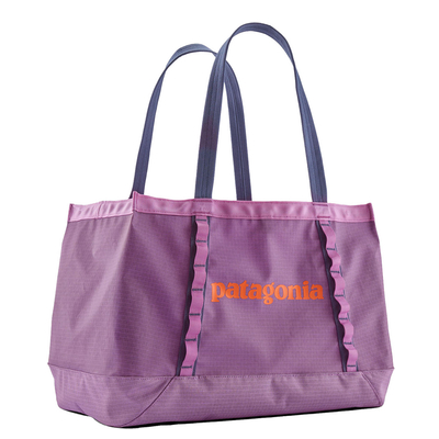 Patagonia Black Hole Tote 25L brisk purple