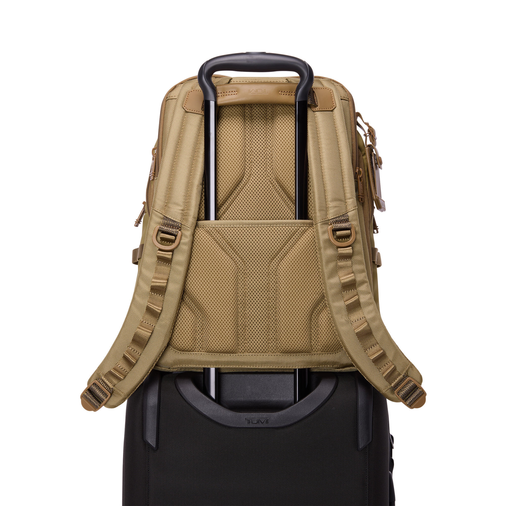 TUMI Alpha Bravo Navigation Backpack khaki 159067-1475 | Travelbags.de