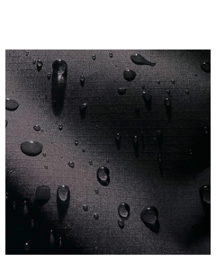 124513ai40526_13