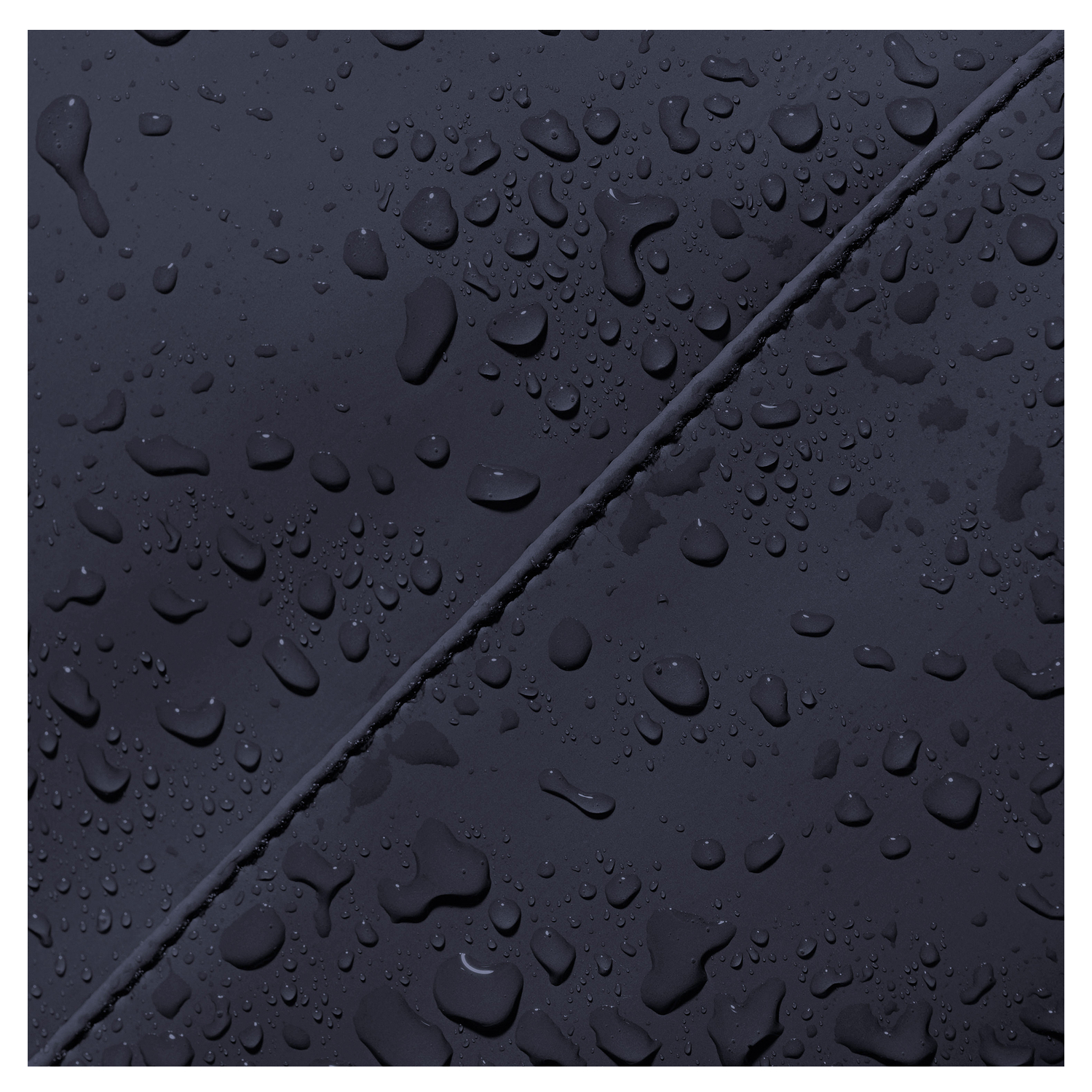 105311li42024_12