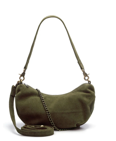 222613-olive_6